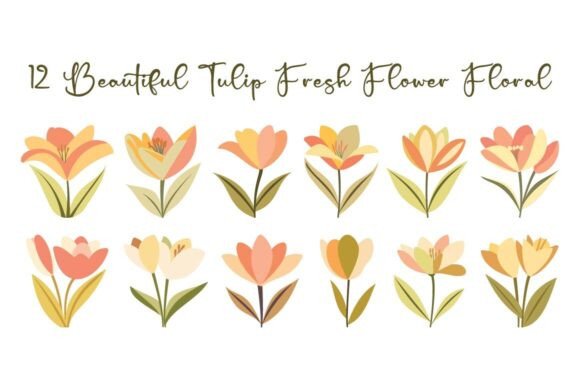 12 Beautiful Tulip Fresh Flower Floral Graphics for Branding