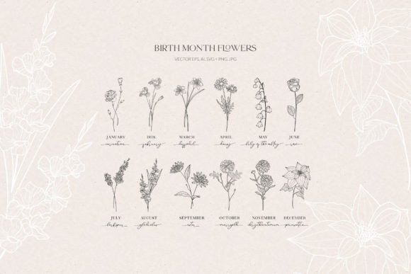 Birth Month Flowers, Botanicals: A Graphic Design Asset for Local Branding