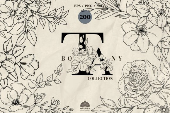 Botany Line Art Collection for Graphic Design Projects