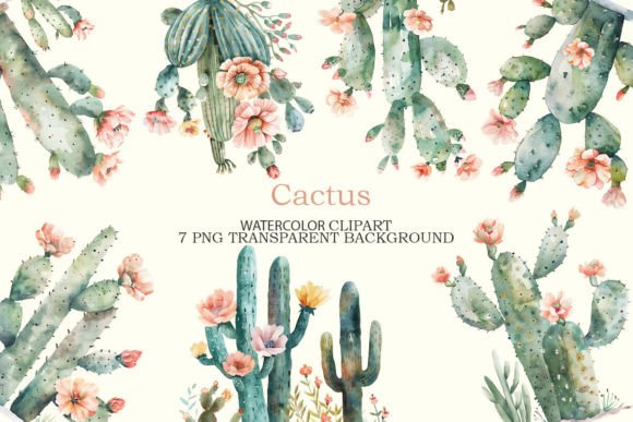 Cactus Flowers Watercolor Clipart Bundle for Branding and Design