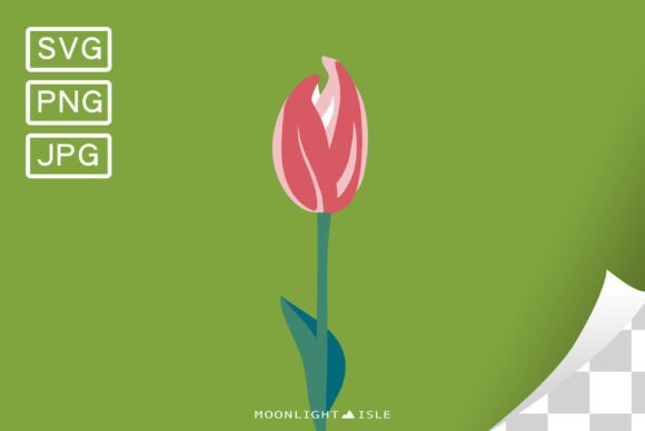 Funky Floral Flower SVG Tulip 4-1 for Graphics and Illustrations