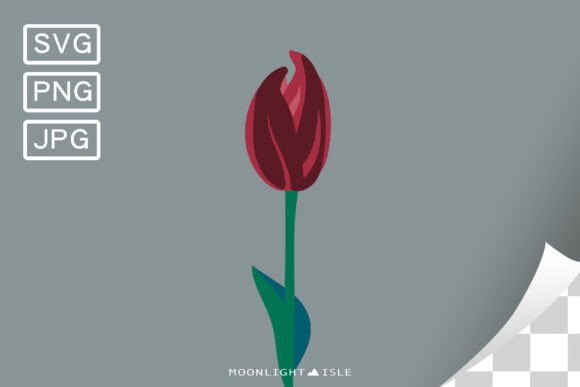 Funky Floral Modern Flower Tulip 5-1 Review