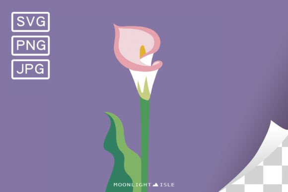 Funky Modern Floral Calla Lily 2-1 Review