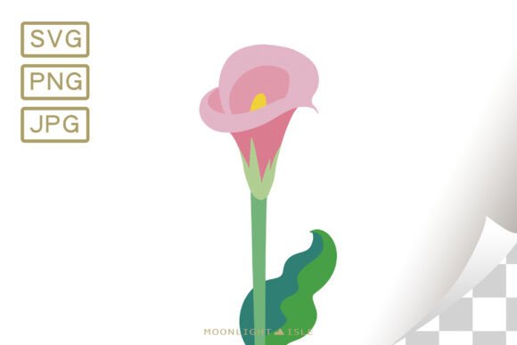 Funky Modern Floral Calla Lily 5-2 Graphics