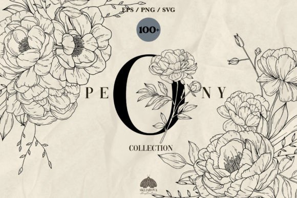 Peony Line Art Collection: A Graphic Design Asset for Editors and Bloggers