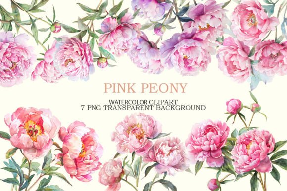 Pink Peony Watercolor Clipart Bundle for Branding and Design